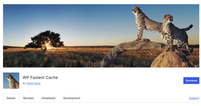WP Fastest Cache