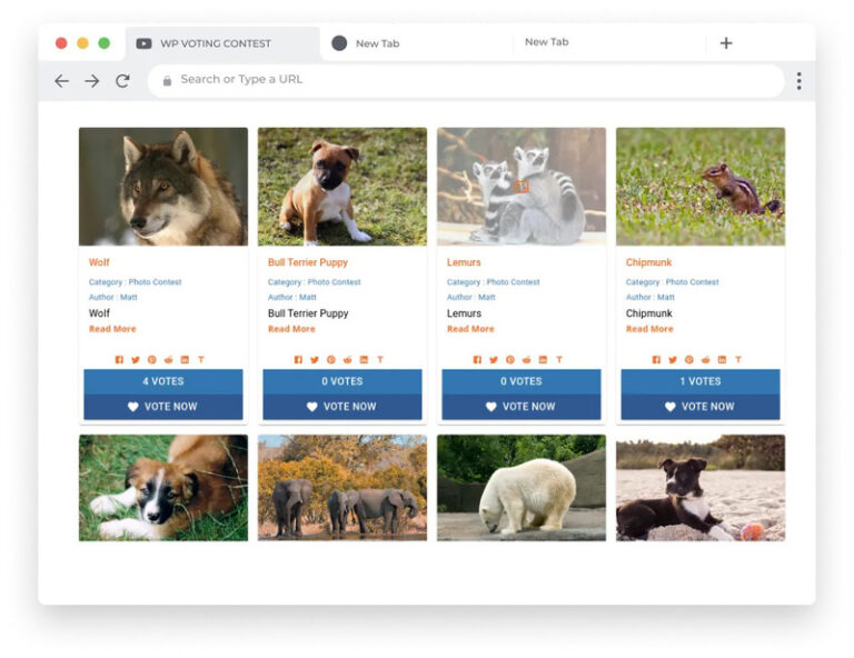 WordPress Voting Contest Plugin Eg